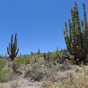 Baja2011 177 : Baja2011